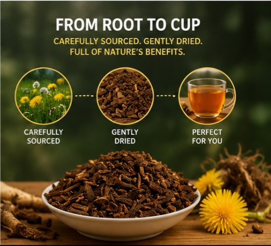 DANDELION ROOT- Ancient Herbal Wellness